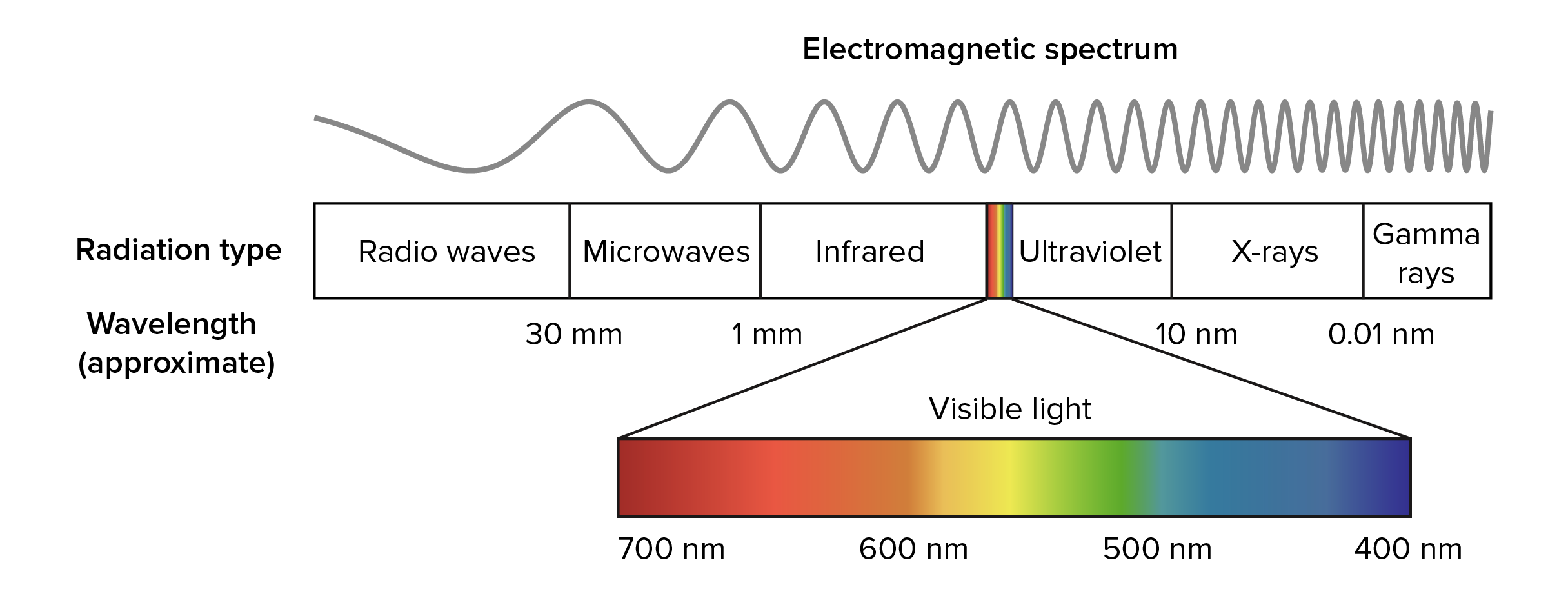 <p>Entire spectrum of electromagnetic radiation ranging in wavelength</p>