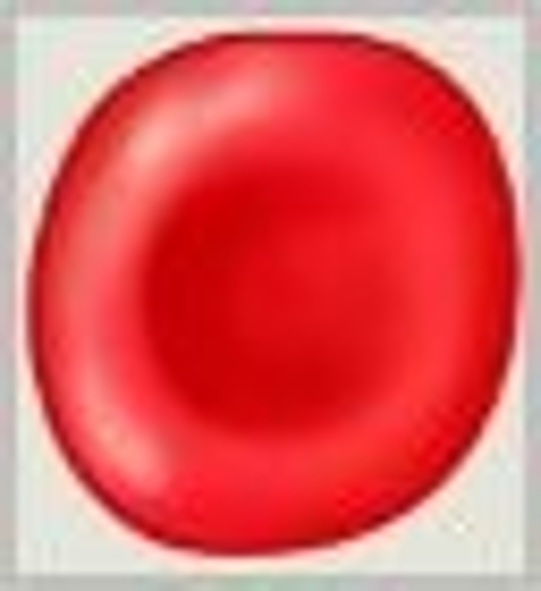 <p>Erythrocyte:Transports oxygen and carbon dioxide; lives for 120 days</p>