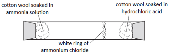 <p>1. place substances in opposite ends of the glass tube <br>2. a white ring of ammonium chloride will form where the ammonia and hydrochloric acid meet <br>3. the location of the white ring determines the rate of diffusion; middle of the tube means the substances diffused equally<br>4. usually forms closer to the hydrochloric acid because ammonia has a smaller atomic mass and diffuses quicker</p>