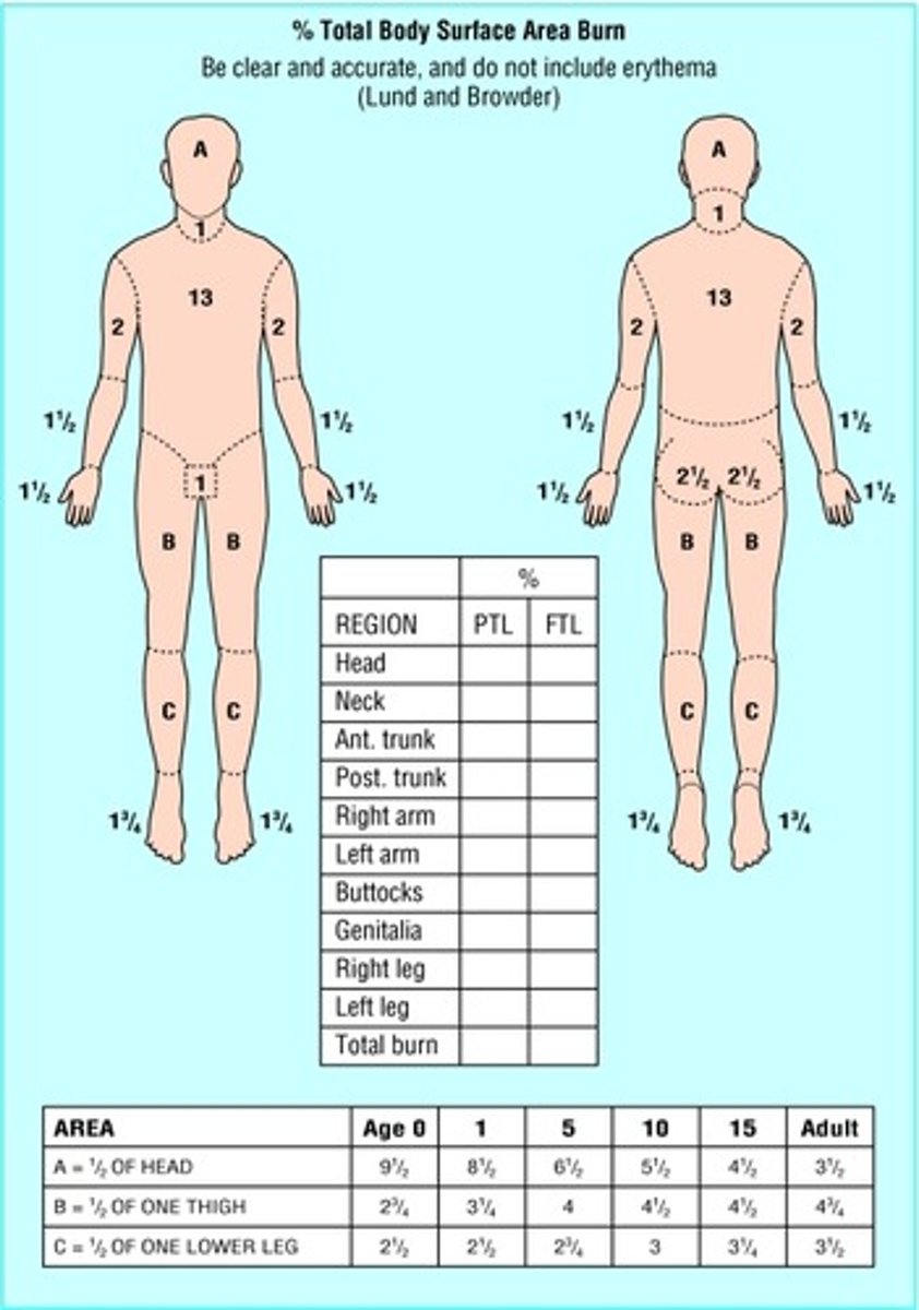 <p>1. most accurate</p><p>2. used in the hospital setting</p><p>3. takes time</p><p>4. not our first choice</p><p>5. completed AFTER full and thorough debridement has been done</p>