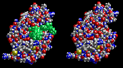 <p>3D-structuur </p>
