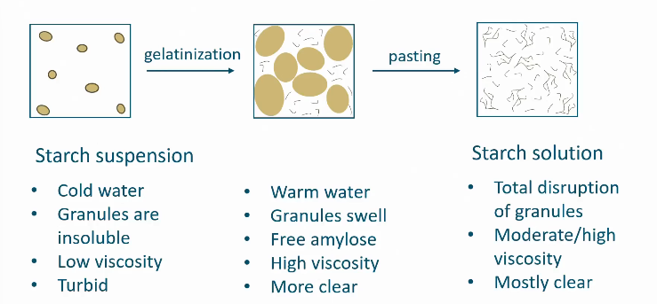 <ul><li><p>Process is irreversible!</p></li></ul><p></p>