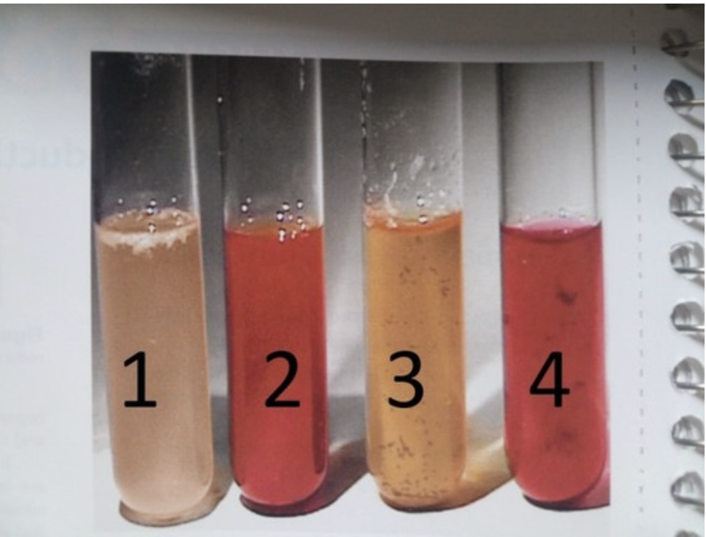 <p>What test is this?</p>