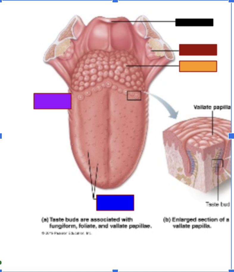 <p>What is the purple box</p>