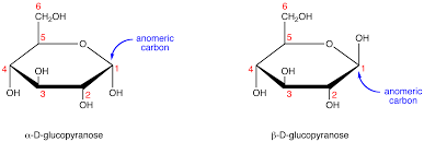 <p><span><span> It is a chiral carbon atom in a cyclical sugar characterized by being bonded to two oxygen atoms—the ring oxygen and a hydroxyl group—allowing for two configurations: (trans) and (cis).</span></span></p>