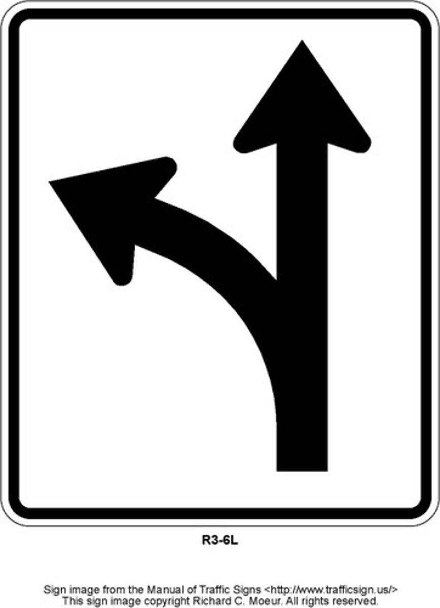 <p>You are allowed to go straight or left</p>