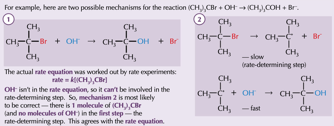 <p>can be predicted with the rate equation, based on what appears in rate determining step</p>