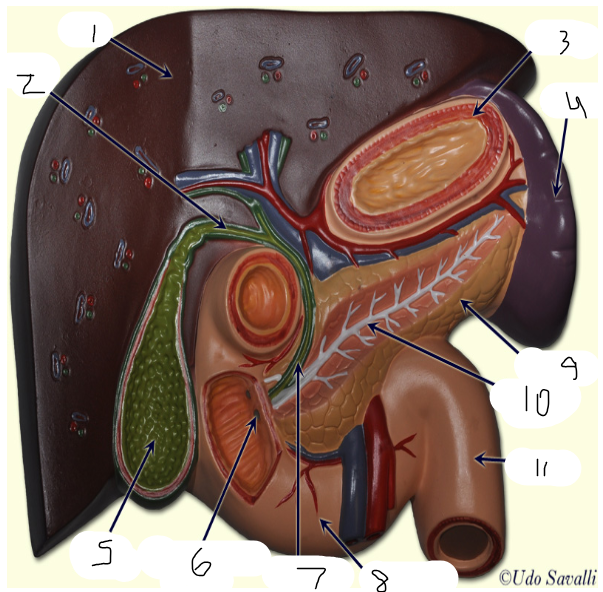 <p>10</p>