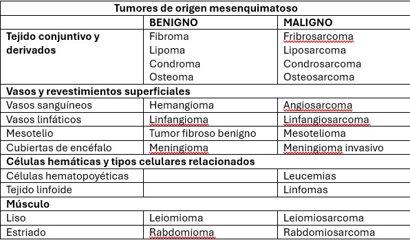 <p>Tumores de origen epitelial</p>