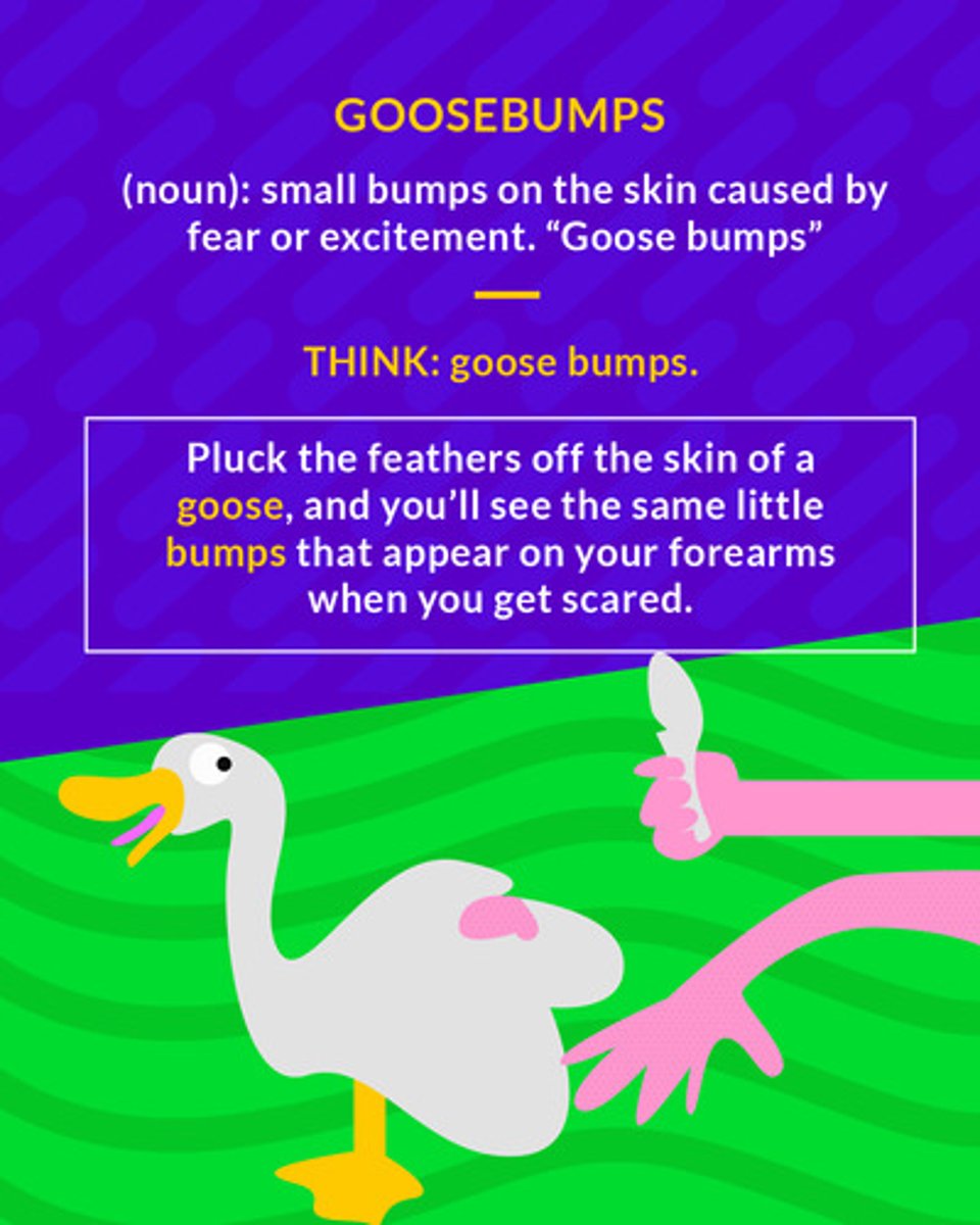 <p>(n) the bumps created by hairs standing up on the skin in response to cold, fear, etc.</p><p>(noun) small bumps on the skin caused by fear or excitement</p>