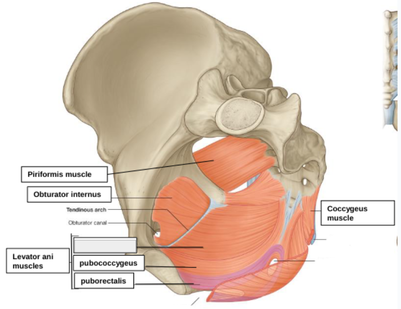 <p>what structure is that?</p>