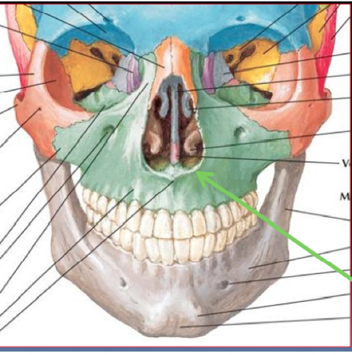 knowt flashcard image