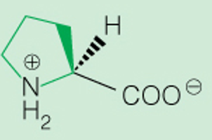 <p>3 Letter</p>