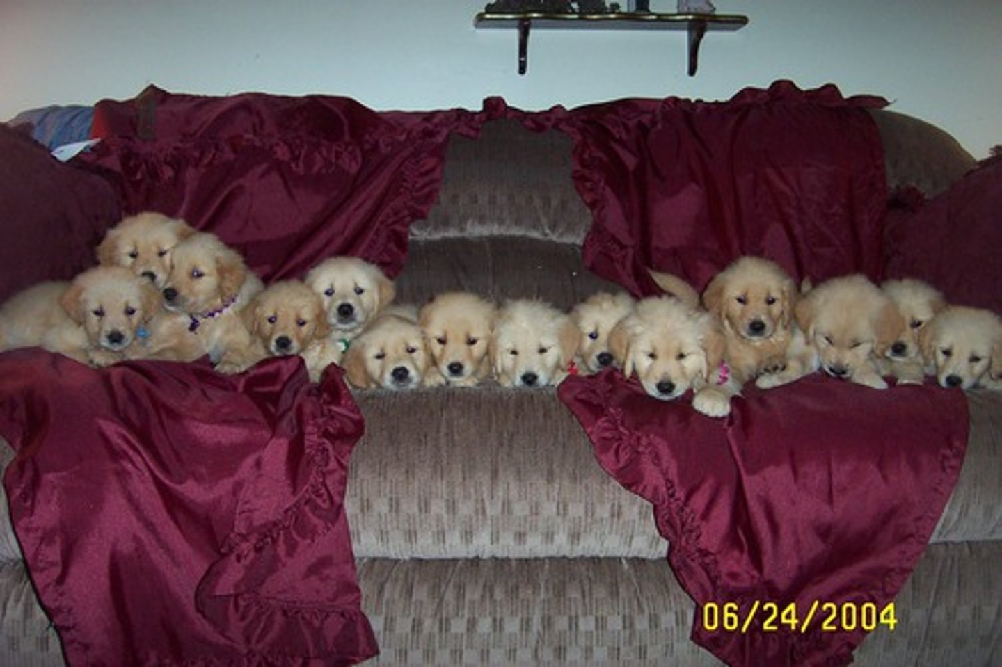 <p>(adj.) fruitful in offspring or vegetation; intellectually productive</p><p>ant- infertile, barren, unproductive</p>