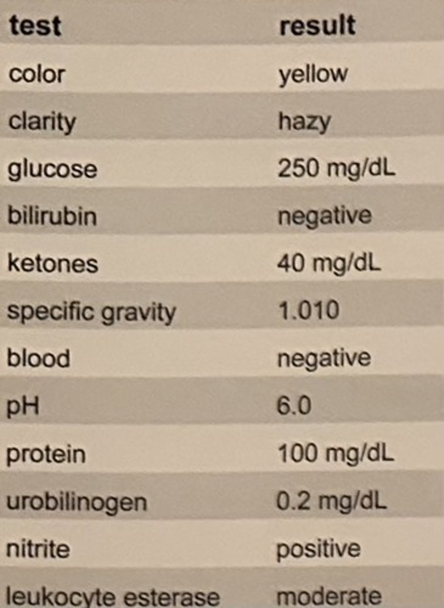 <p>The results in the table are obtained on a urine specimen collected at 8:00 am.</p><p>If the sample is stored unrefrigerated and retested at 12:00 pm, which of the following test results would likely be decreased due to the storage conditions?</p><p>a. protein</p><p>b. glucose</p><p>c. ketones</p><p>d. nitrite</p>