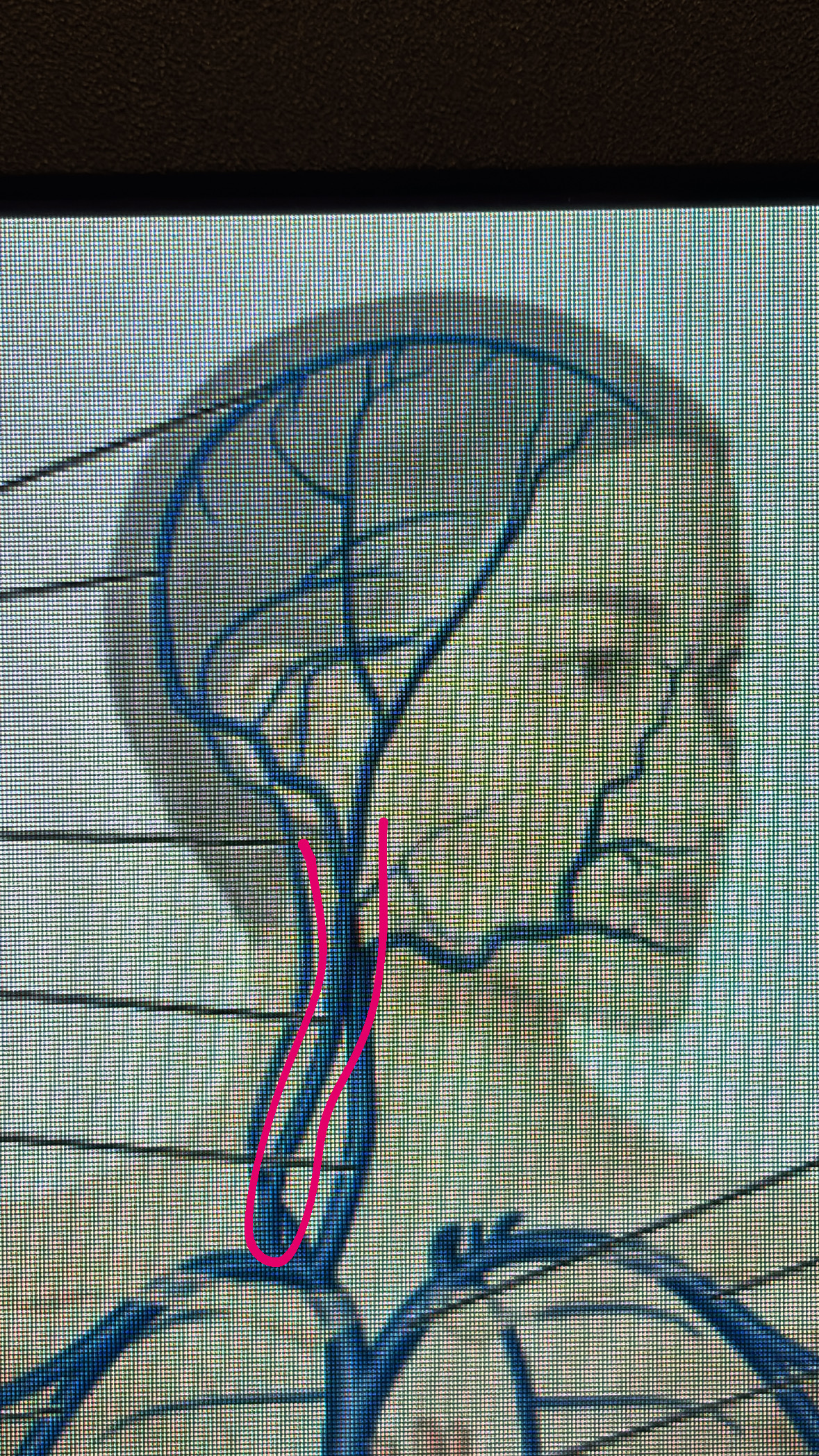 knowt flashcard image