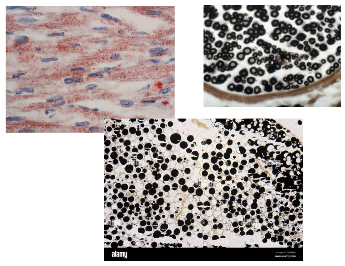 <p>koks čia dažymo būdas?</p>