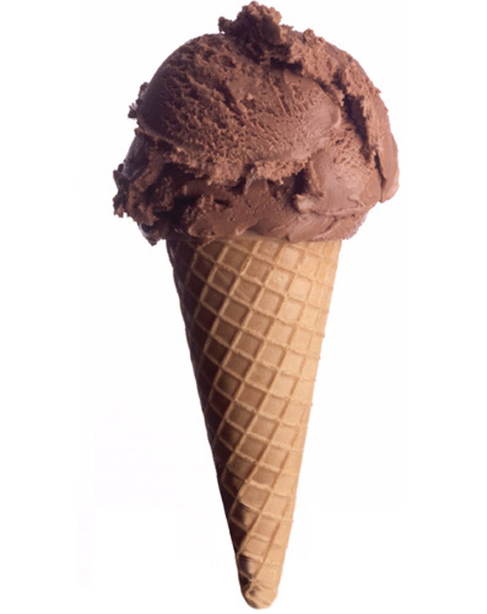 <p>chocolate ice cream</p>