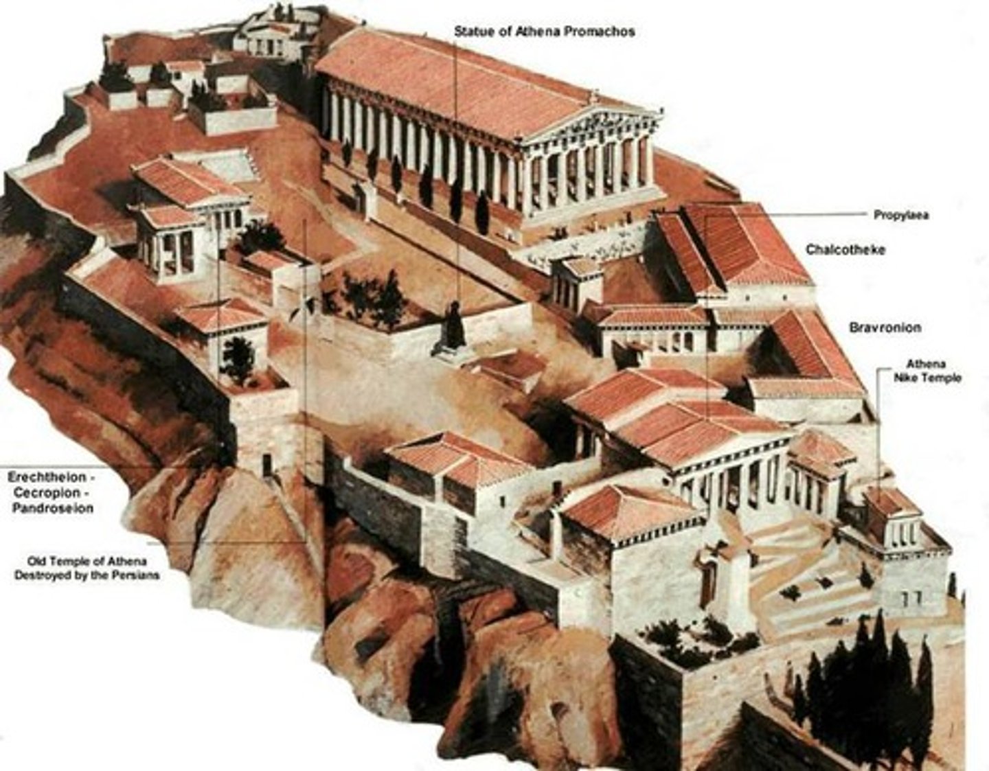 <p>the citadel in an Ancient Greek city usually on a hill; a fortified hilltop; an upper city</p>