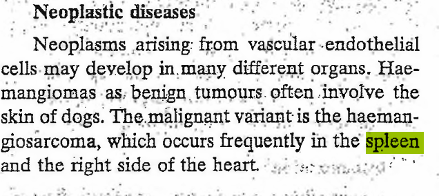 <p>True</p>