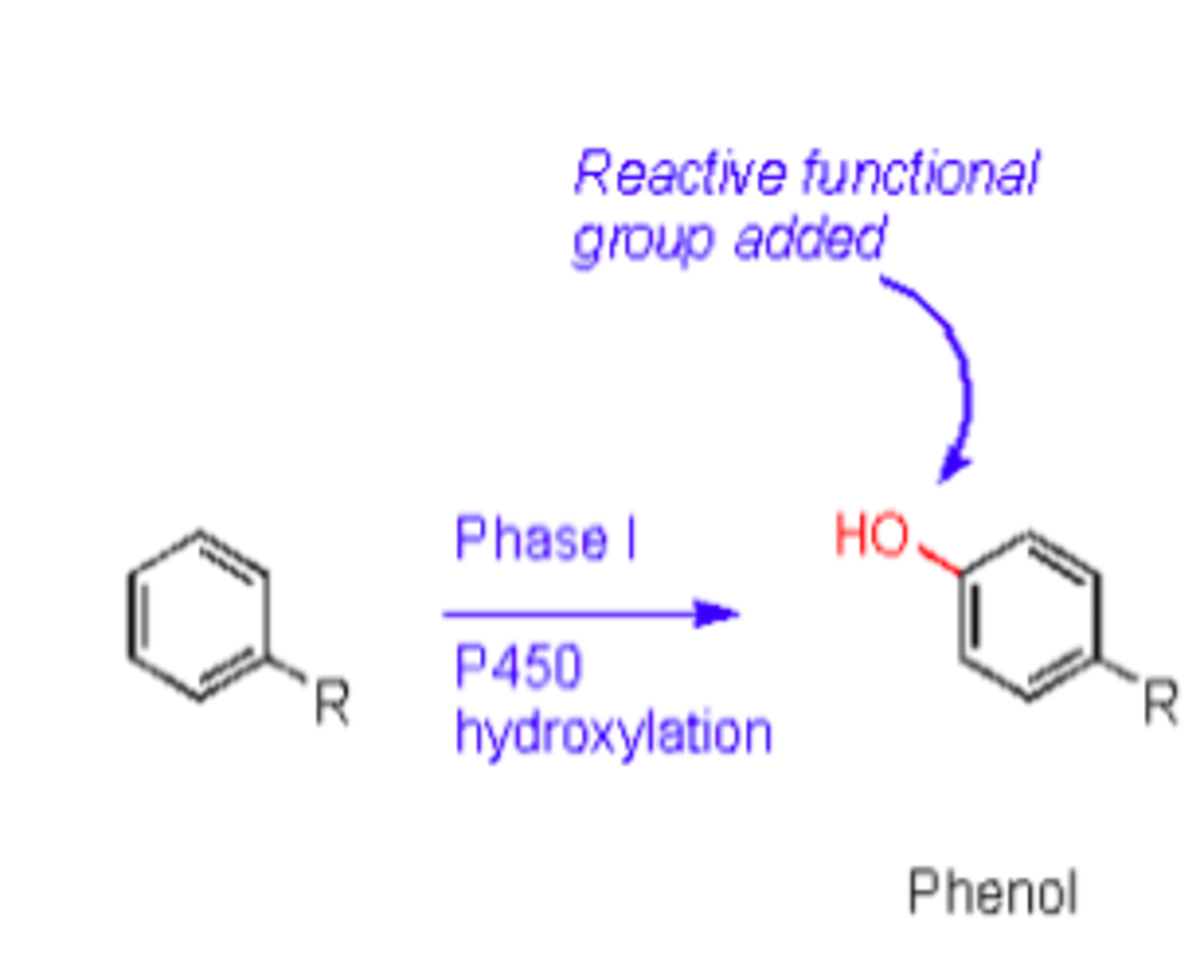 <p>usually a reactive functional group is added.</p><p>Makes the molecule more soluble, and easier excreted</p>