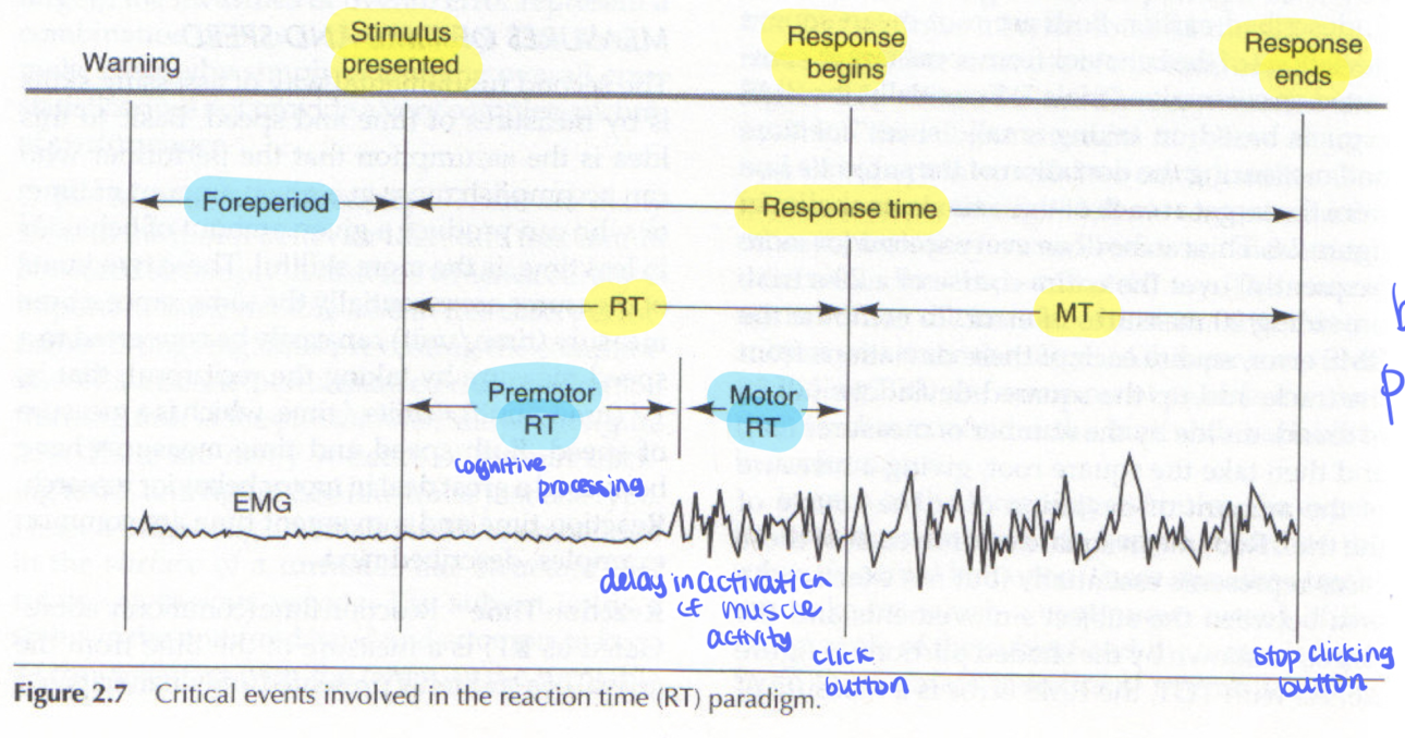 <p>time between initiation of a response to completion of the movement </p>