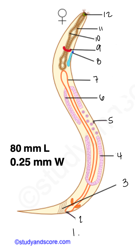 <p>1.</p>