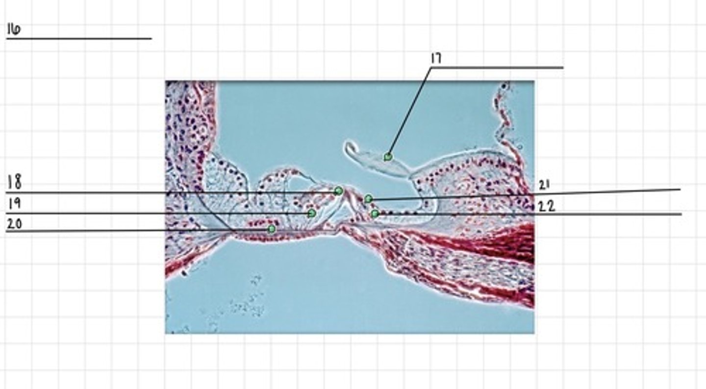 <p>18</p>
