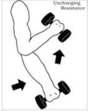 <p>Isotonic contraction</p>