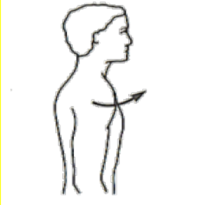 <p>What Movement is occurring?</p>