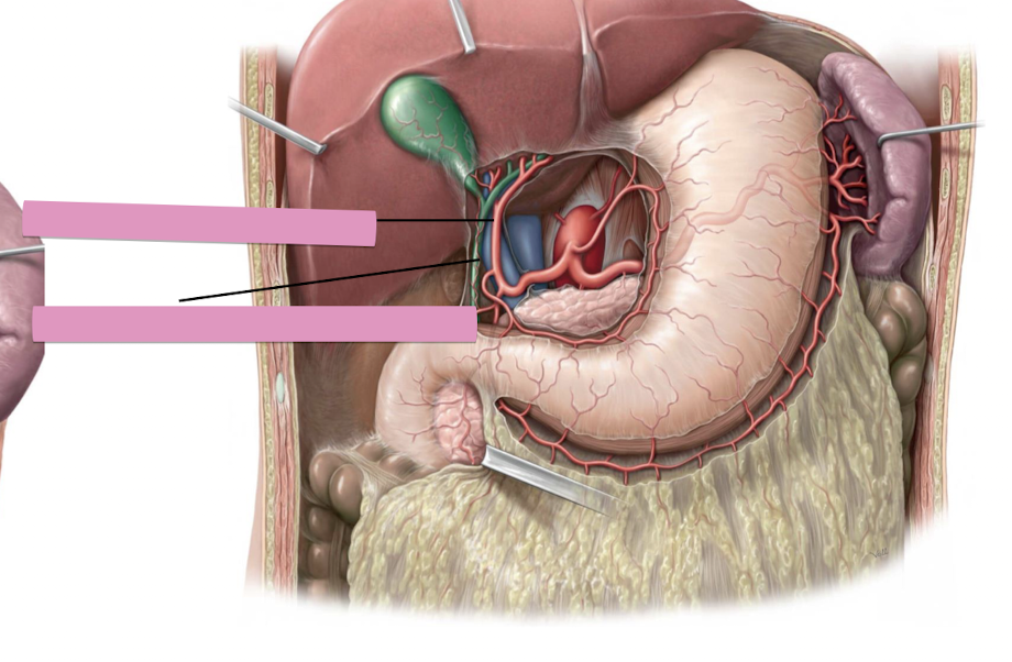 <p>Fill in the blank </p>