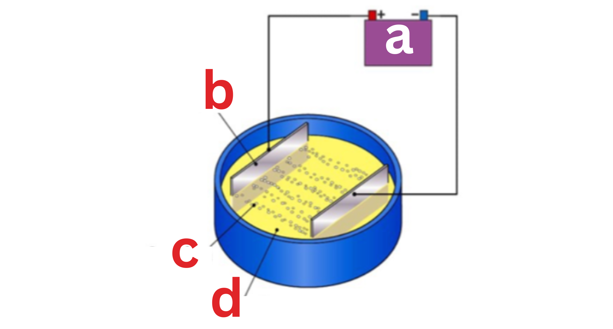 <p><span style="color: rgb(0, 0, 0);"><span>Label This Diagram</span></span></p><p><span style="color: rgb(0, 0, 0);"><span>Electric Field Strength</span></span></p>