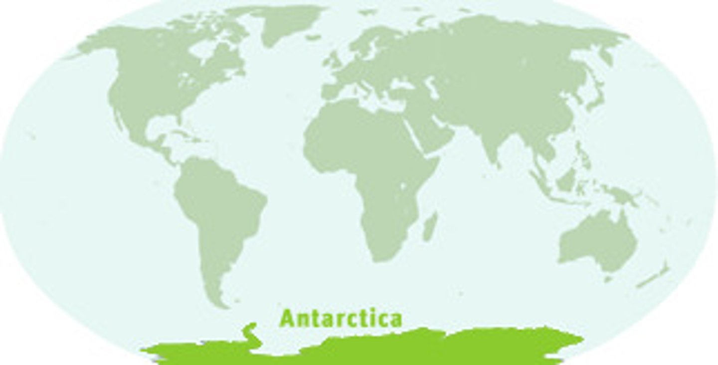 <p>An extremely cold continent at the south pole. Zero population and no countries. It is the coldest and windiest place on Earth.</p>