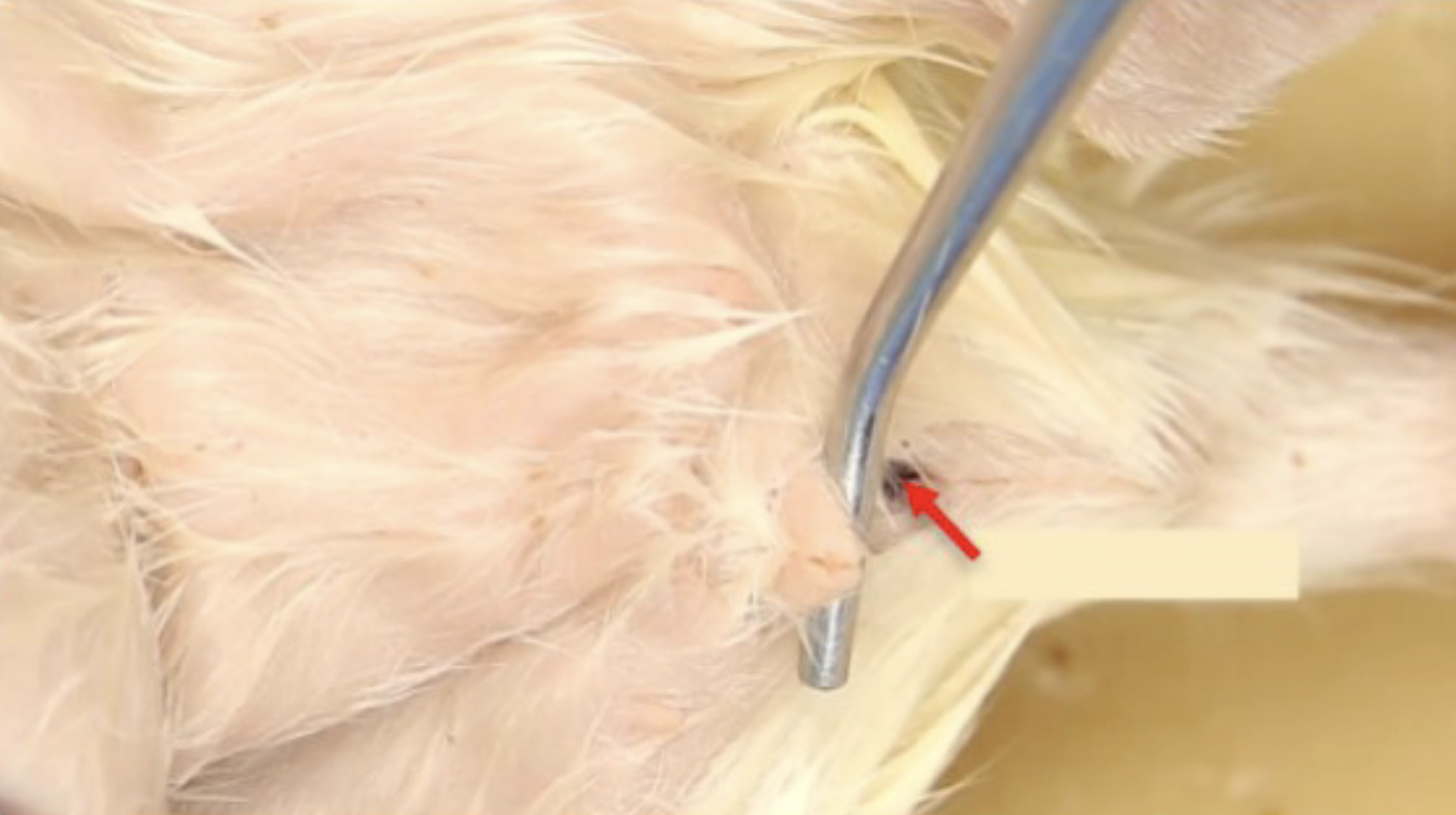 <p>What is this?</p>