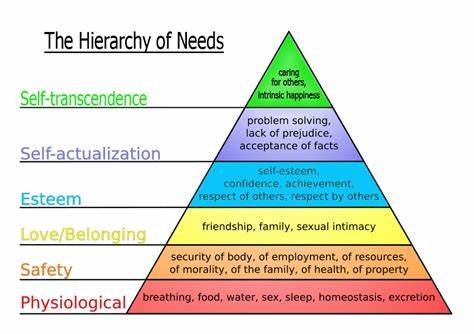 <p><span style="font-family: Calibri, sans-serif">Is an early model regarding human needs, proposing that humans organize their needs in consistent ways.</span></p>