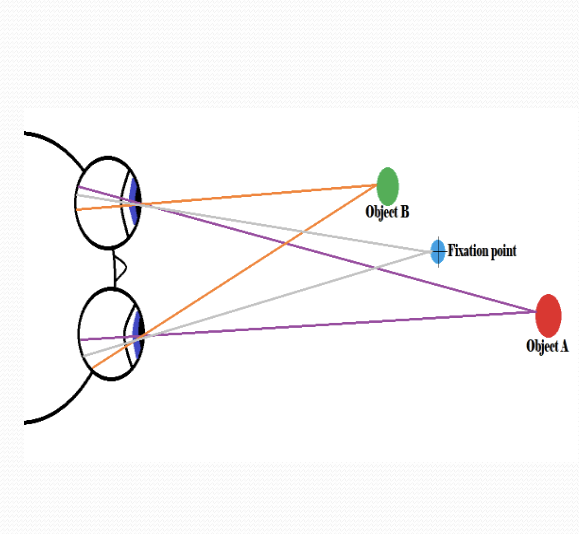 <p>stereopsis/retinal disparity involve ability to use distance between the eyes as “geometric” basis for determining distance; each eye is receiving slightly different info, and we get rich perceptual interpretation of depth based on that</p>