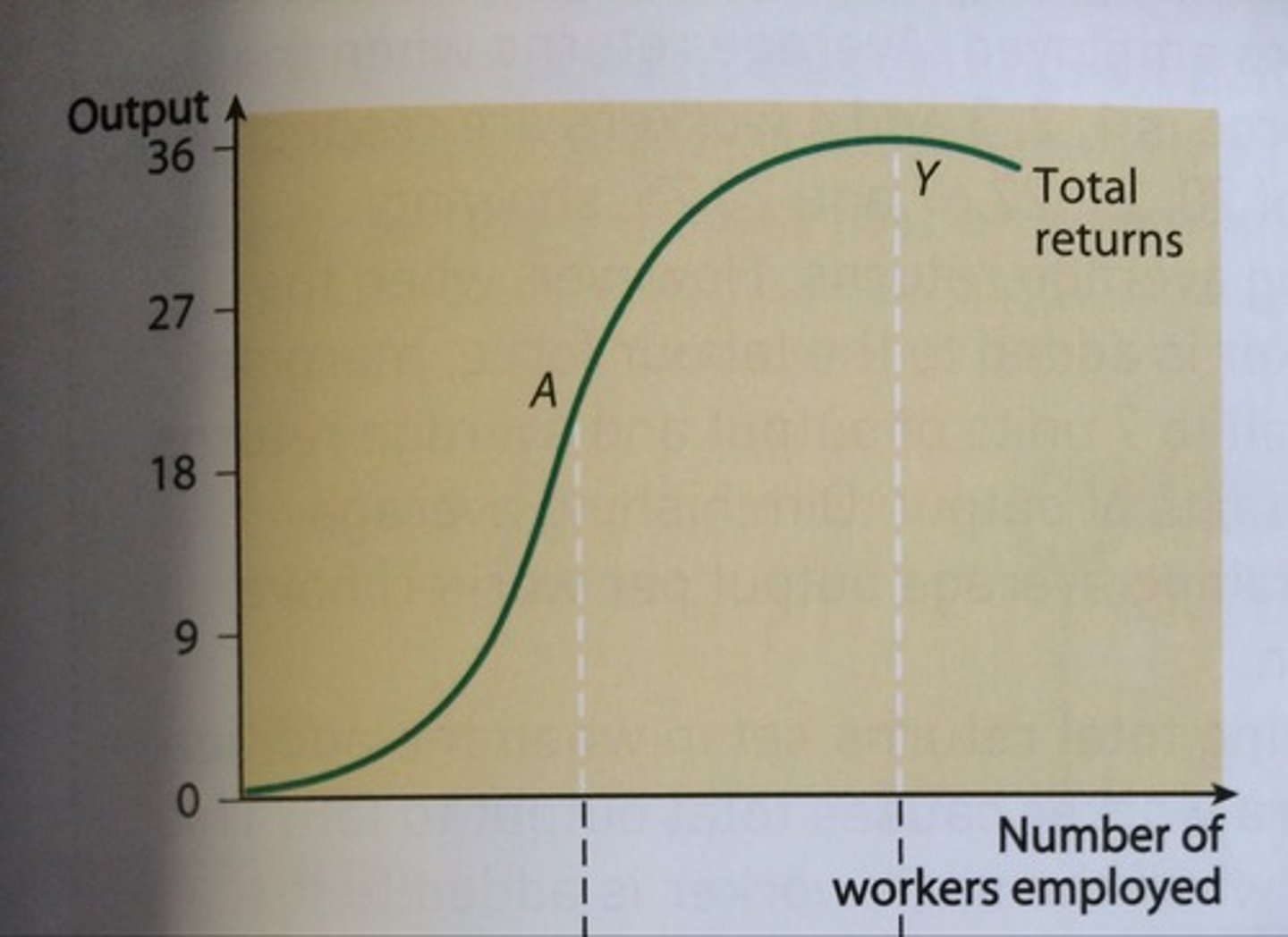 <p>-At the beginning, the shape of the total revenue curve increases, where the labour force benefits from increasing marginal returns</p><p>- However, after this, law of diminishing marginal returns kicks in, and the total returns continues to rise, as more workers are combined with capital, however, it rises at a slower rate than previously</p><p>- After this, the total returns falls, as workers begin to get in the way of each other to the point where marginal returns becomes negative</p>