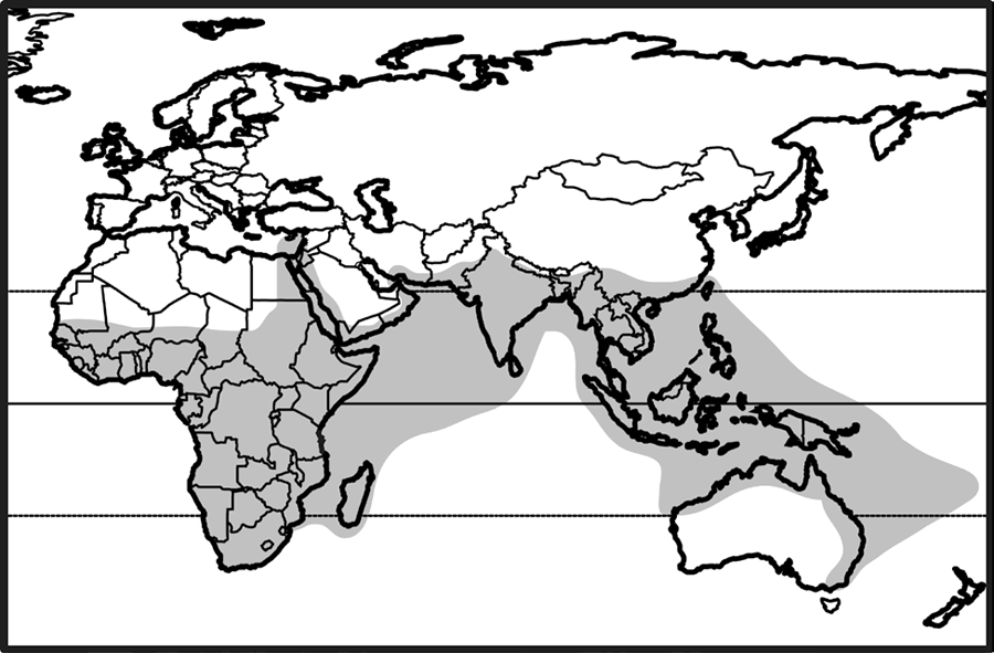 old world tropics: africa, india, southeast asia, australasia, many indian and pacific ocean islands
