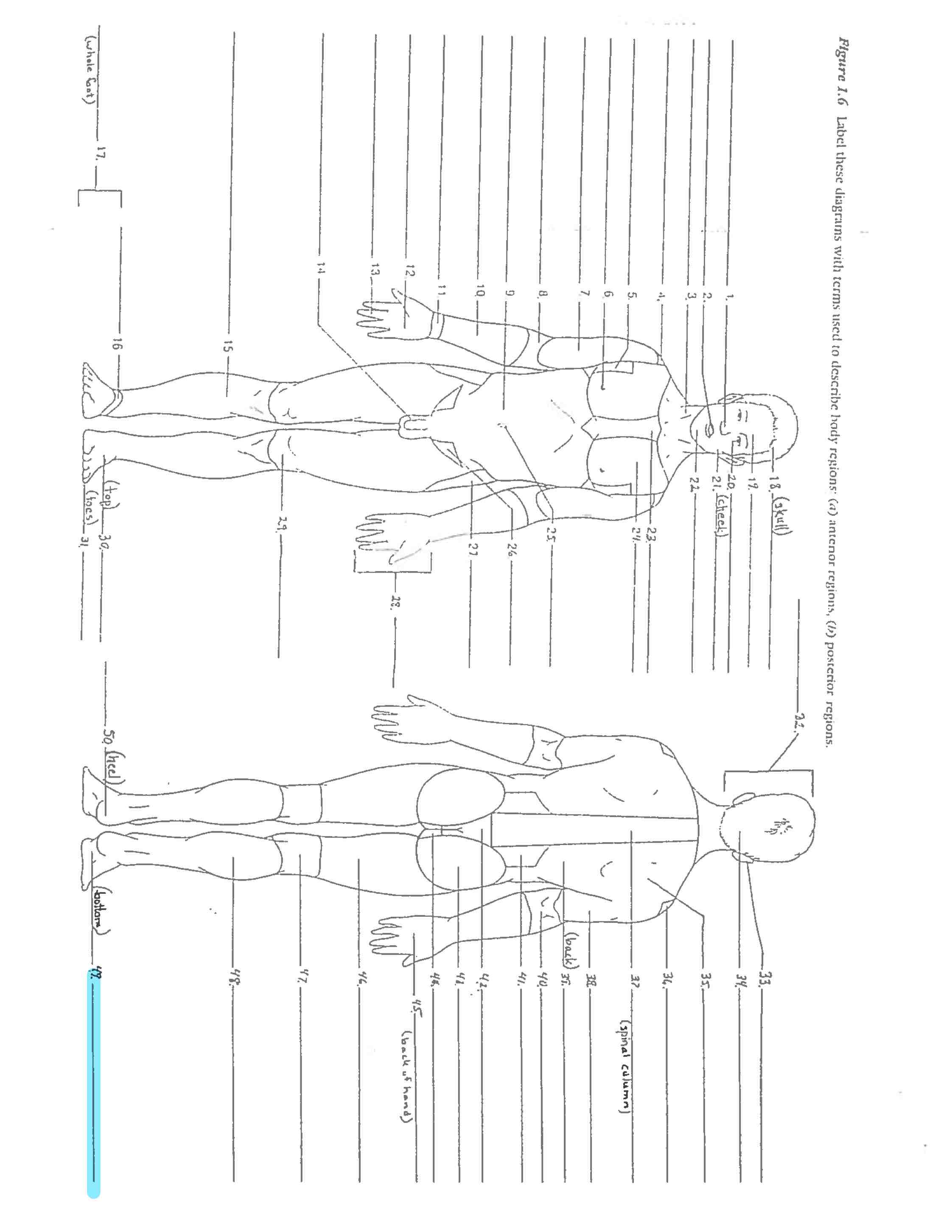<p>Line 49 </p>