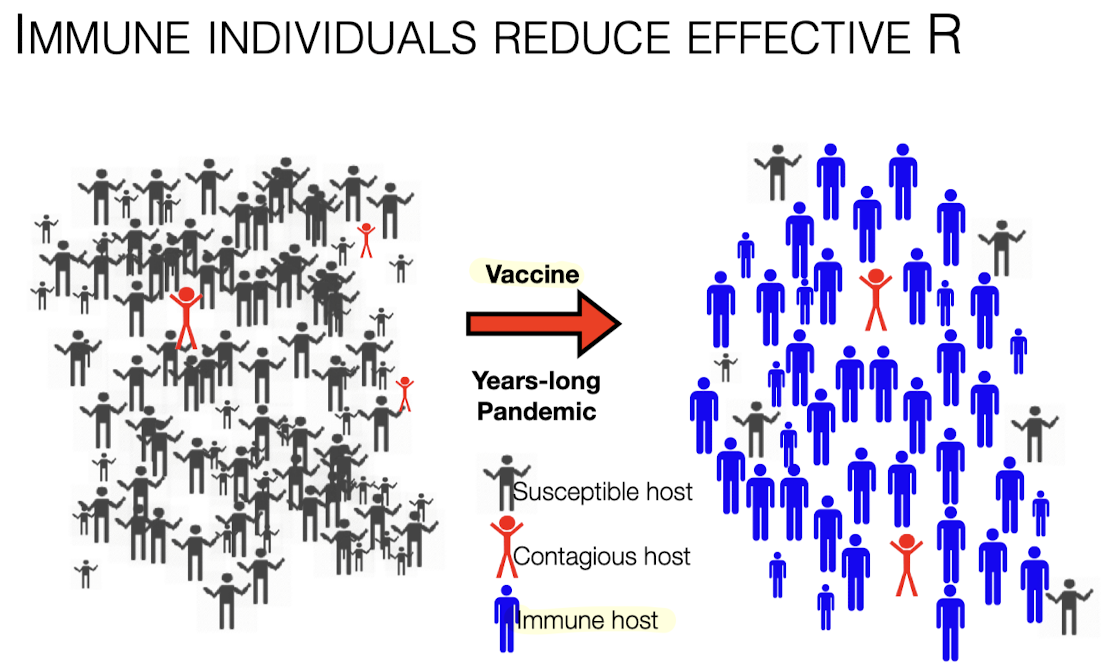 <p>Vaccinate! </p><p>Immune individuals reduce effective R </p>