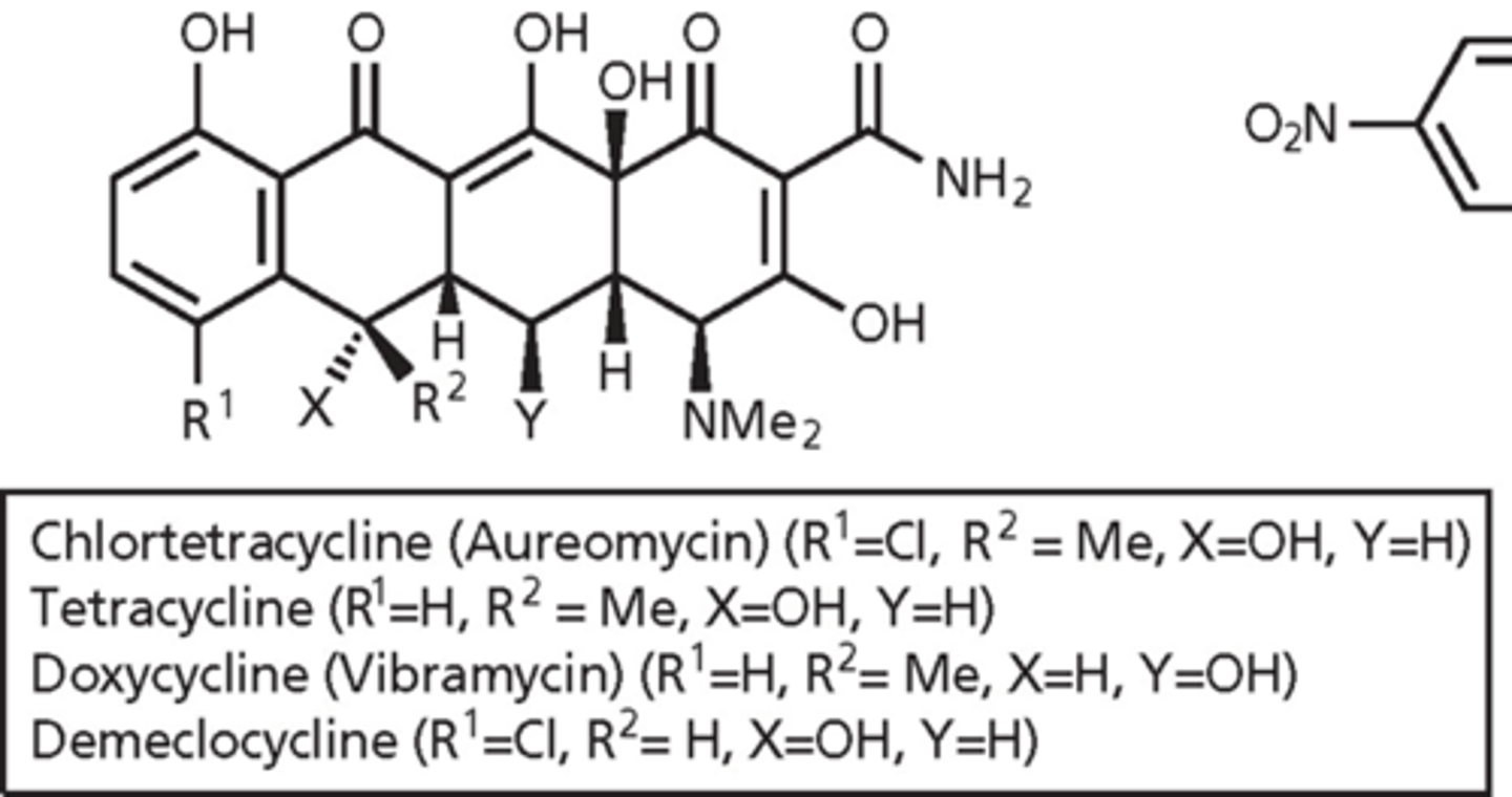 <p>- amphoteric (hydrophilic and hydrophobic surface) - hydrophilic surface is extensive array of oxygen atoms and hydrophobic is ring system</p><p>- oxygens can bind metal ions - form chelate as part of MOA with phosphates neutralized by magnesium </p><p>- impaired absorption in presence of milk, Ca2+, Mg2+, Al3+ - containing antacids (antagonize action via metal chelation)</p><p>- side effects: GI problems</p><p>- incorporation into bones and teeth (because of Ca2+ binding) - discoloration of the teeth</p>