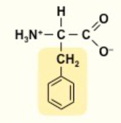 <p>F</p><p>nonpolar</p><p></p>