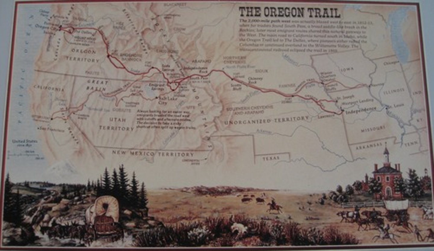 <p>2000 mile long path along which thousands of Americans journeyed to the Willamette Valley in the 1840's.</p>