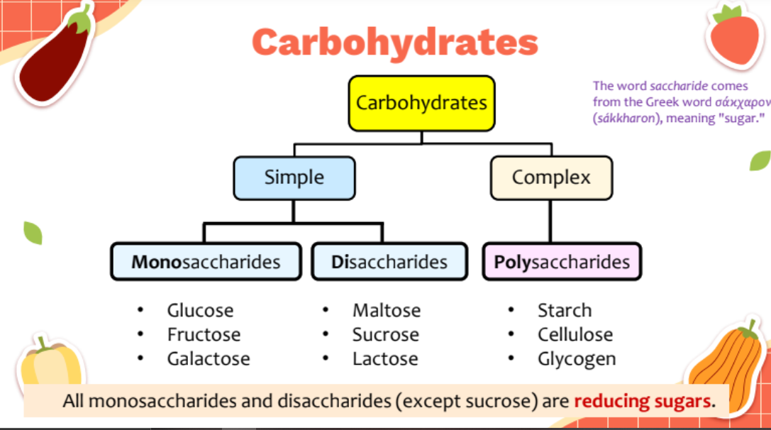 <p>organic molecules made up of the elements <strong>carbon</strong>, <strong>hydrogen</strong>, and <strong>oxygen</strong>. Ratio of <strong>H:O</strong> = 2:1</p><p><strong>C<sub>n</sub>H<sub>2m</sub>O<sub>m</sub></strong></p>