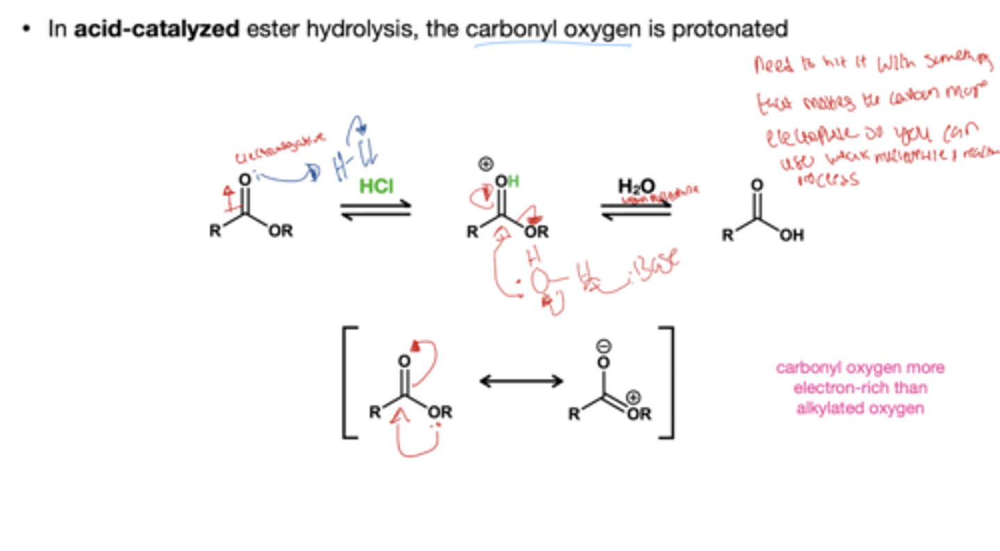 <p>HCl, H2O</p>