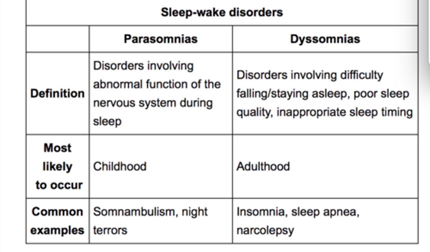 <p>1. dyssomnias</p><p>- trouble falling asleep, staying asleep, or excessive sleepiness</p><p>- insomnia, OSA, narcolepsy, sleep movement disorders</p><p>2. parasomnias</p><p>- abnormal activities or behaviors during sleep</p><p>- nightmares, sleepwalking, sleep paralysis, sleep terrors, bruxism</p>