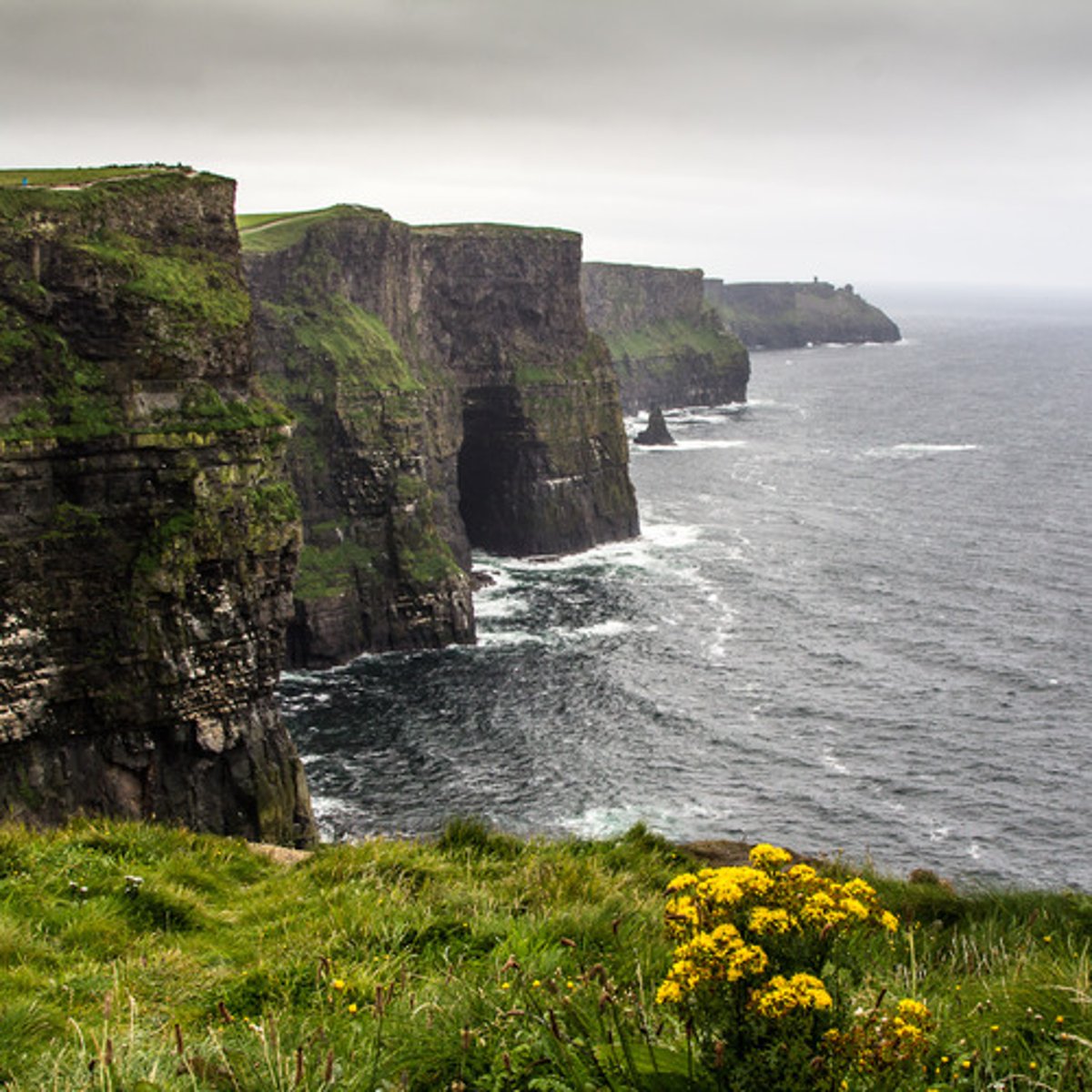 <p>cliffs created by erosion</p>