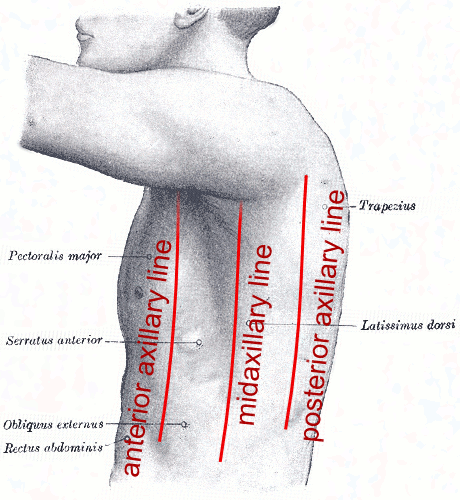 <p>midaxillary line</p><p>mcq said anterior axillary line and this is false</p>