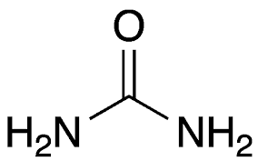 <p>Waste product formed in the liver when the body breaks down proteins, made from ammonia. </p>