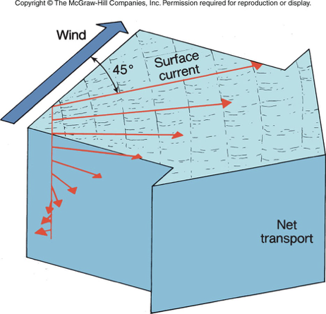 <ul><li><p>Affects surface water only </p><ul><li><p>Surface current movement is caused by the wind</p></li><li><p>Red arrows denote direction and speed of the surface current </p></li><li><p>Speed of current decreases through the water column (decrease in length of red arrows)</p></li><li><p>Displacement in relation to the wind direction increases with depth </p></li><li><p>Surface starts at 45 degrees and in each subsequent deeper layer the displacement increases</p><ul><li><p>If water movement is integrated from the top of the Ekman spiral to the bottom of the Ekman spiral, we find that the net transport is 90 degrees to the right of the wind direction</p></li></ul></li></ul></li></ul>
